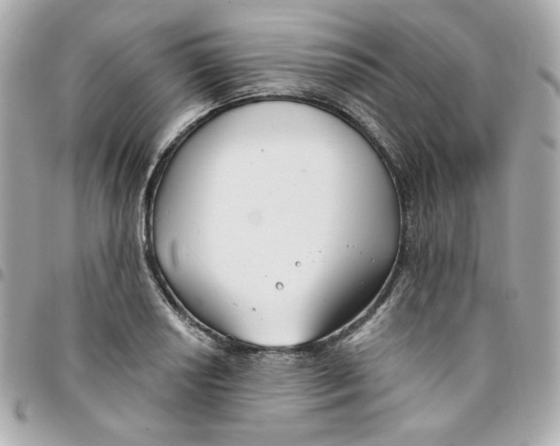 X0000096211034200802011317