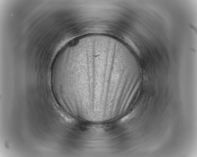 X0000096211035200802011317