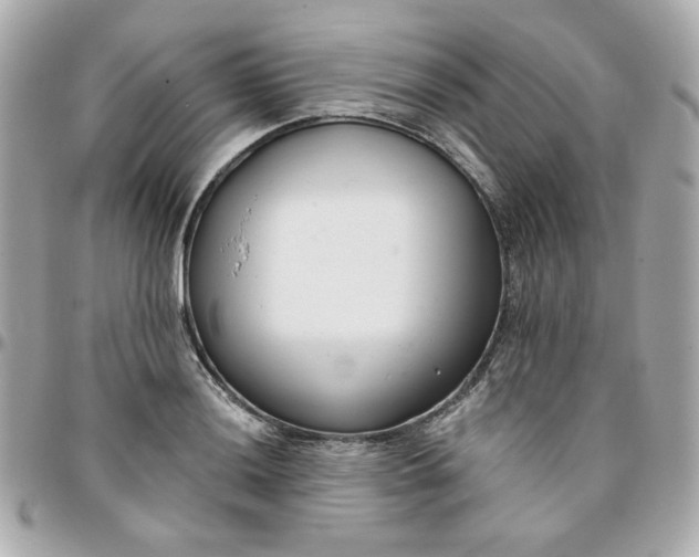 X0000096211036200802011317