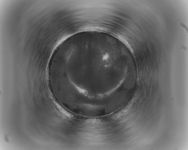 X0000096211037200802011317