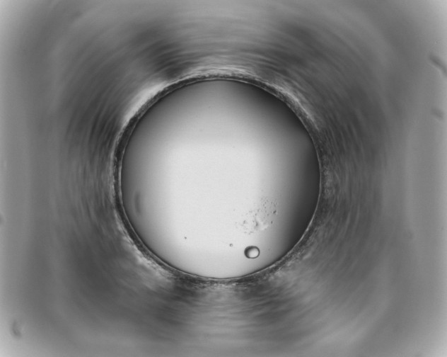 X0000096211038200802011317