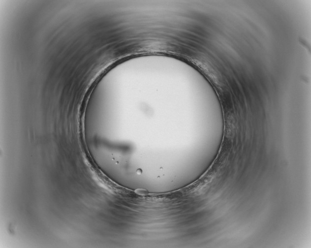 X0000096211039200802011317