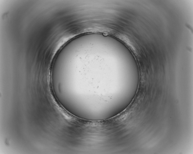 X0000096211040200802011317