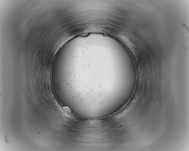 X0000096211041200802011317