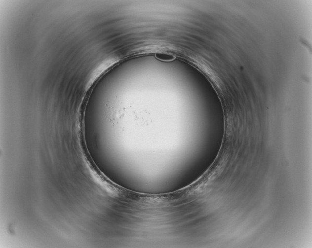 X0000096211042200802011317