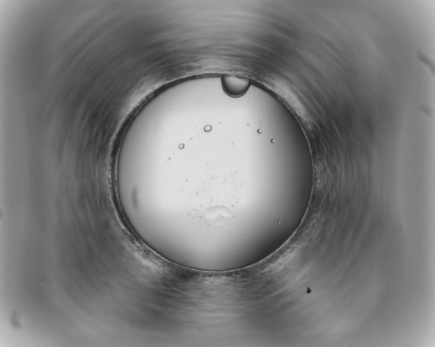 X0000096211043200802011317