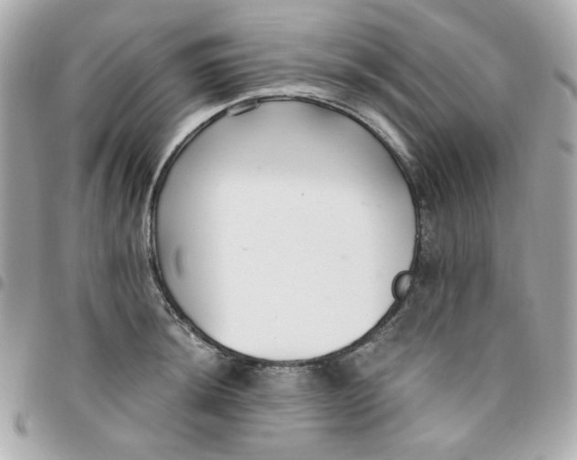 X0000096211044200802011317