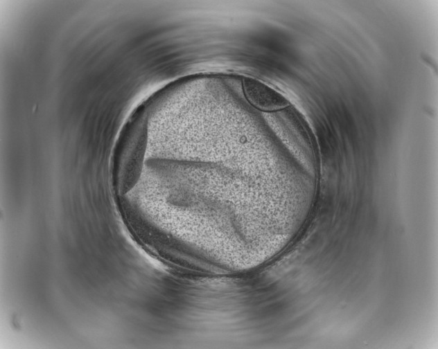 X0000096211045200802011317