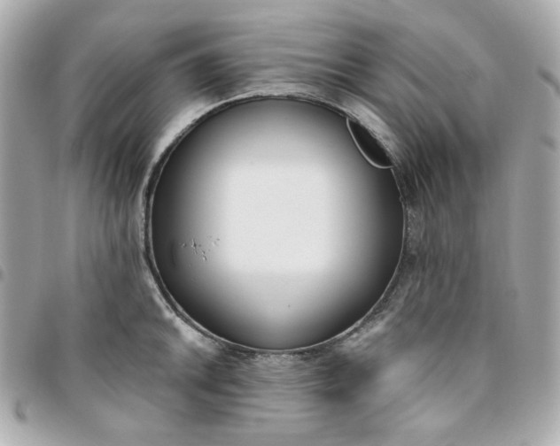 X0000096211046200802011317