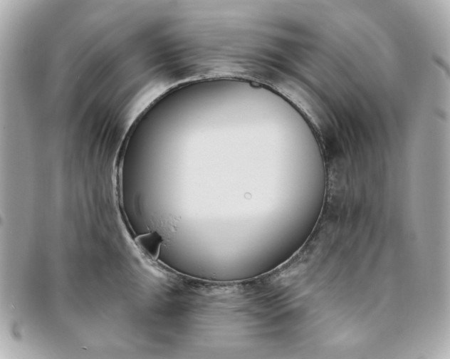 X0000096211047200802011317