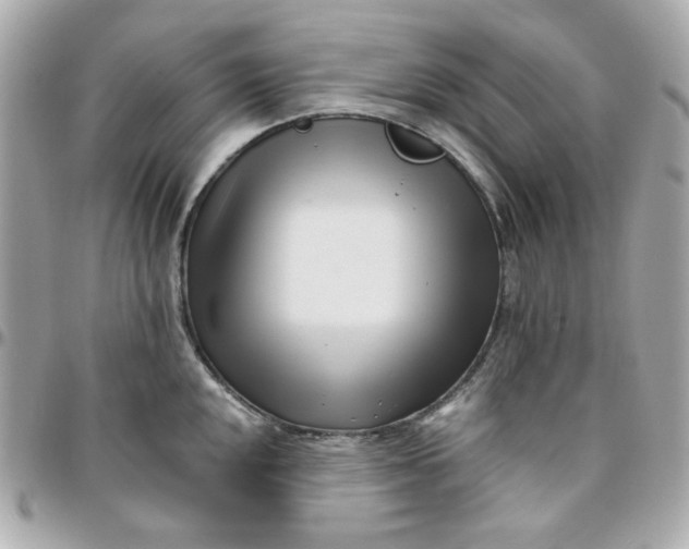 X0000096211048200802011317