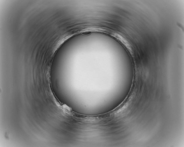 X0000096211049200802011317