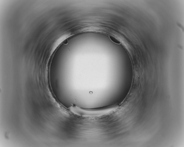 X0000096211050200802011317