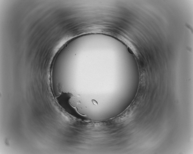 X0000096211051200802011317