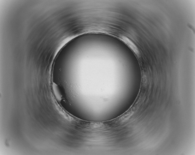 X0000096211052200802011317