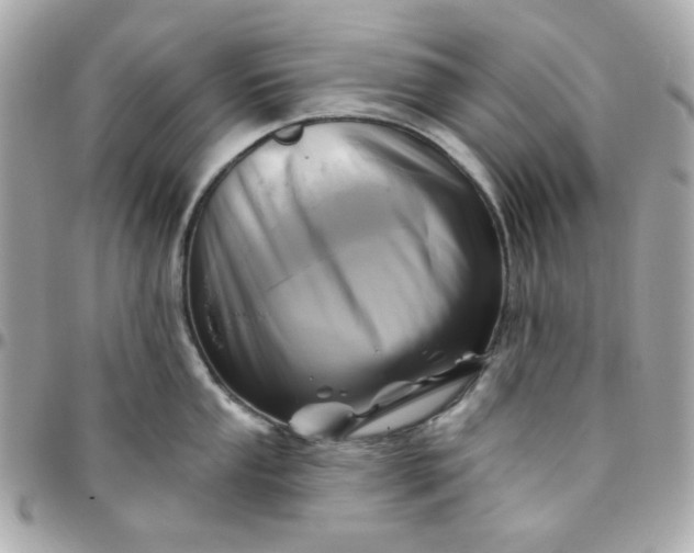 X0000096211053200802011317