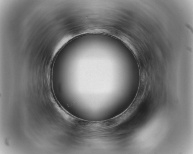 X0000096211054200802011317