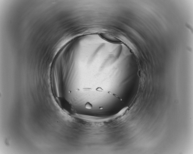 X0000096211055200802011317