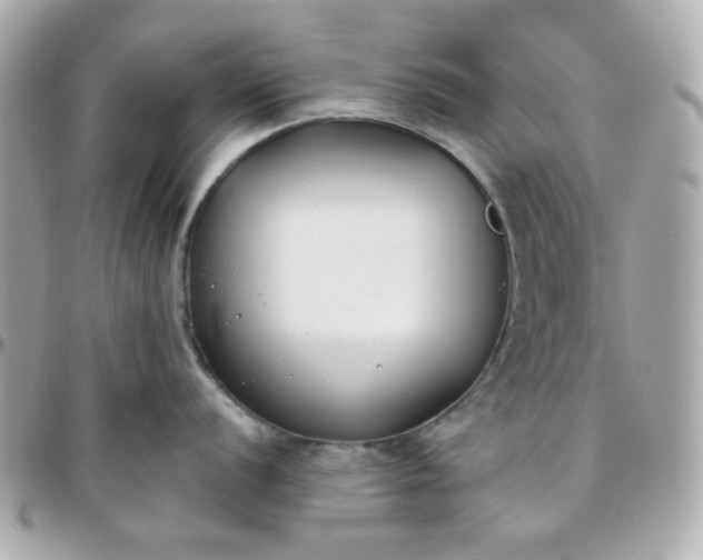 X0000096211056200802011317