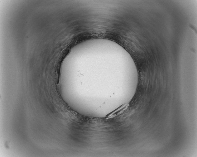 X0000096211057200802011316