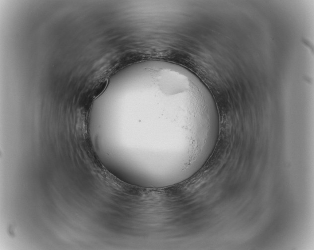 X0000096211058200802011316