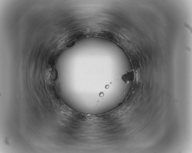 X0000096211059200802011316