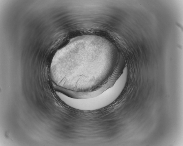 X0000096211060200802011316