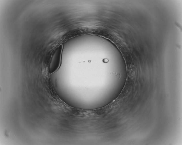 X0000096211061200802011316