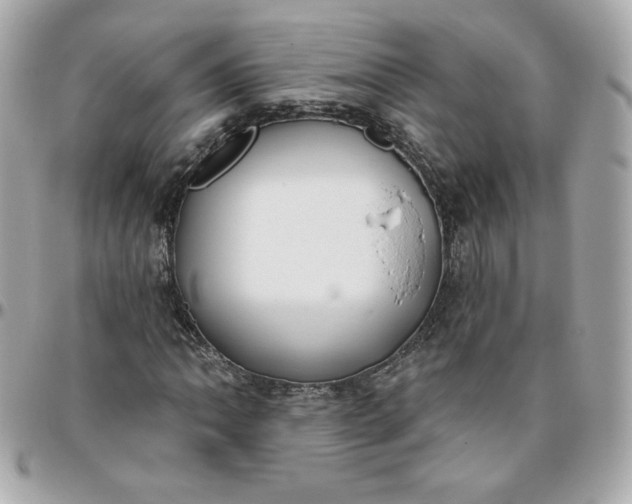 X0000096211062200802011316