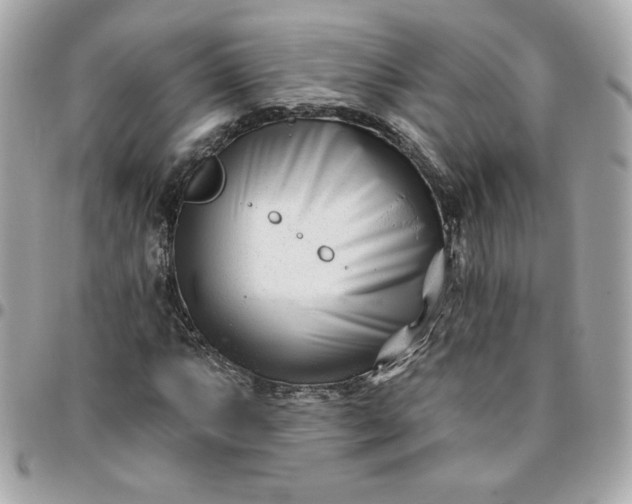 X0000096211063200802011316