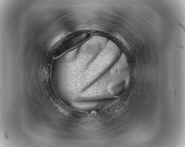 X0000096211064200802011316