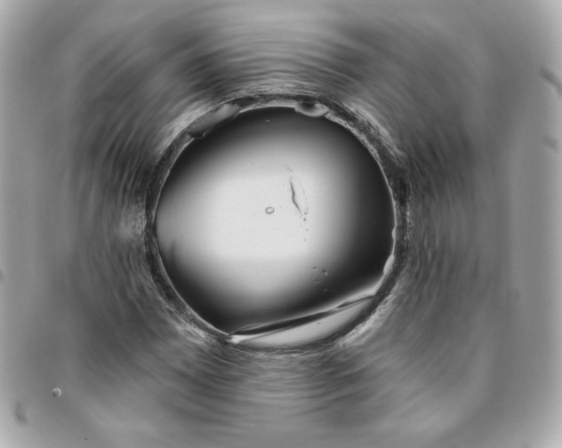 X0000096211065200802011316