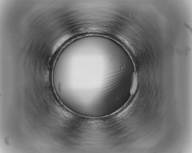 X0000096211066200802011316