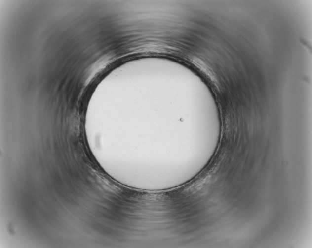 X0000096211067200802011316