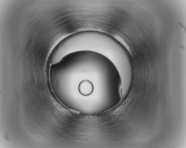 X0000096211068200802011316