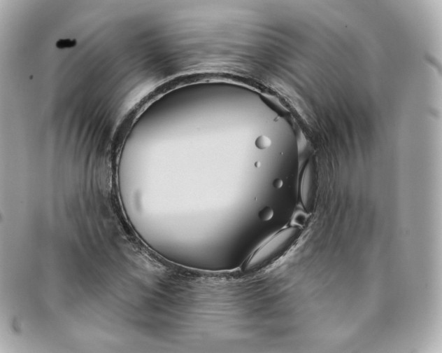 X0000096211069200802011316