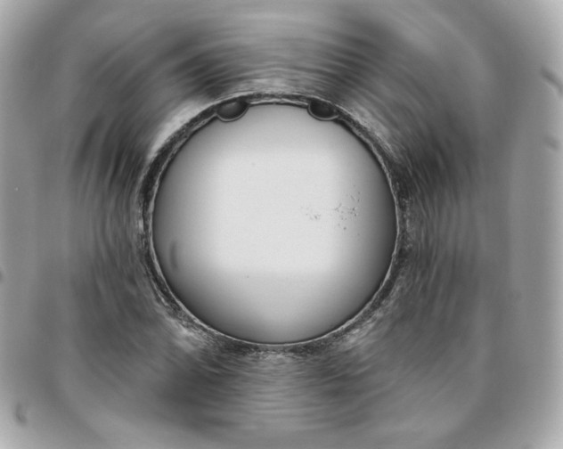 X0000096211070200802011316