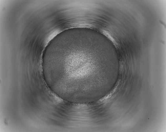 X0000096211071200802011316