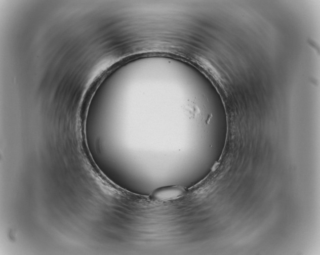 X0000096211072200802011316