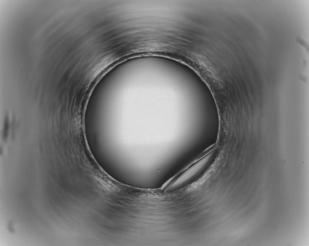 X0000096211073200802011316