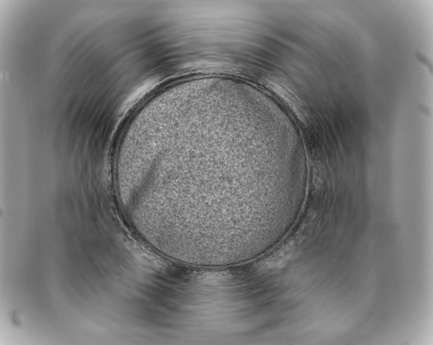 X0000096211074200802011316