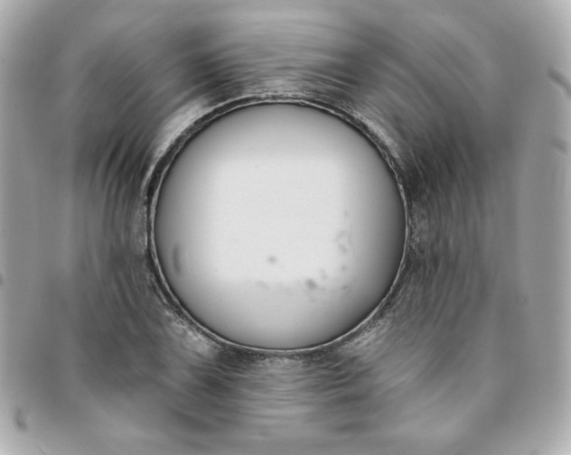 X0000096211075200802011316