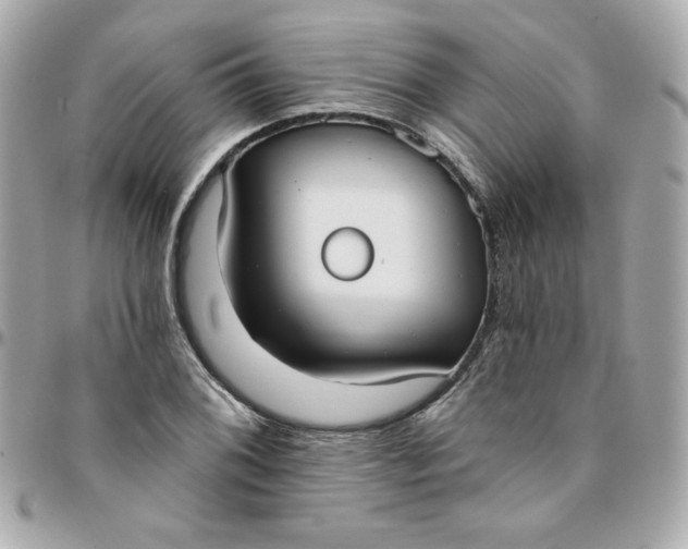 X0000096211076200802011316