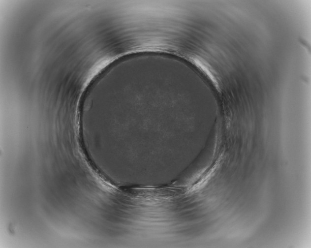 X0000096211077200802011316