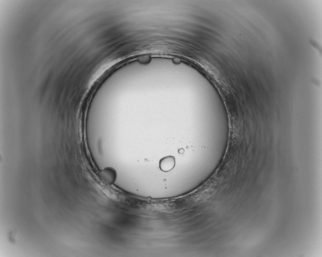 X0000096211078200802011316