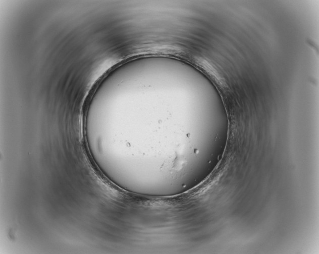 X0000096211079200802011316