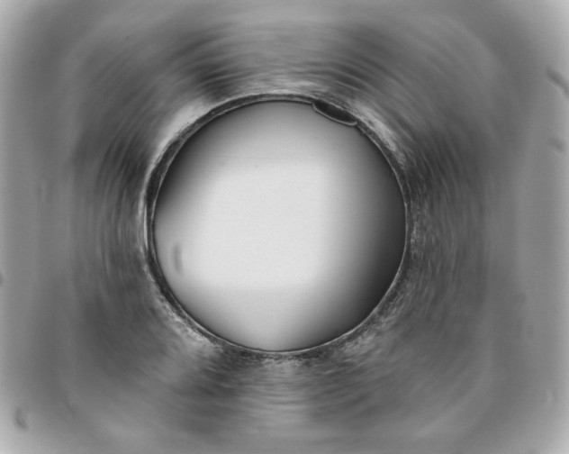 X0000096211080200802011316