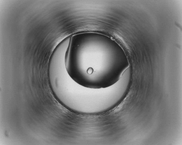 X0000096211081200802011316