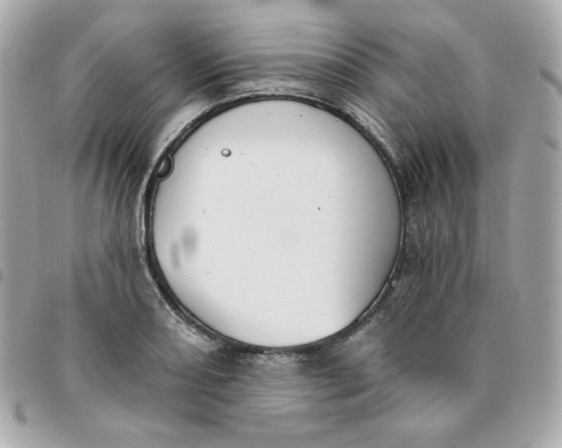 X0000096211082200802011316