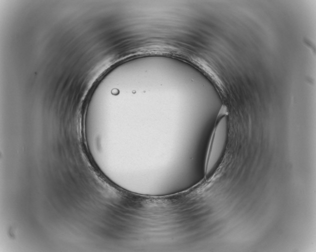 X0000096211083200802011316